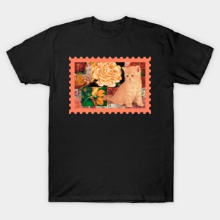 Ginger Kitten and Flower Collage T-Shirt